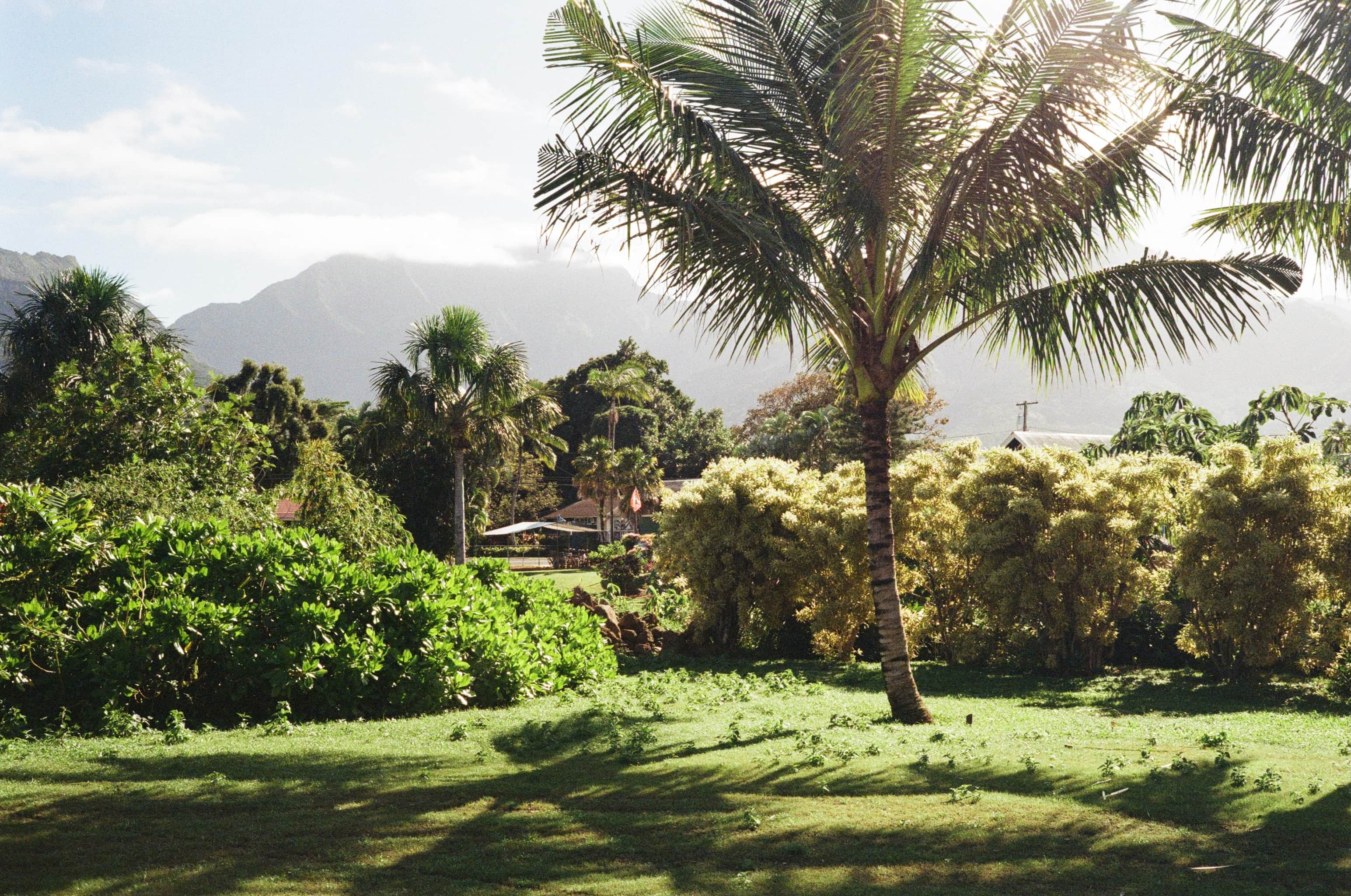 Green Hanalei