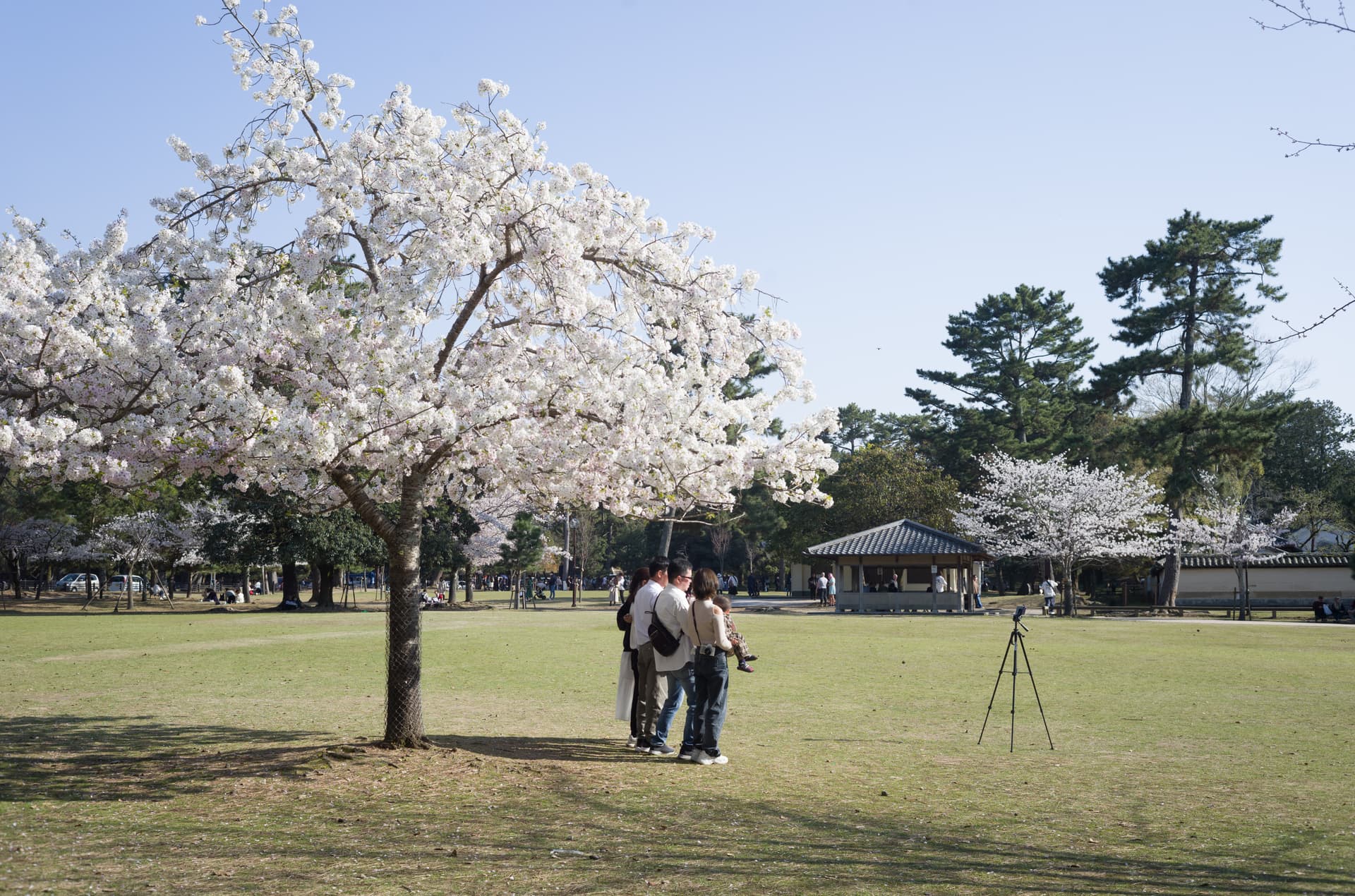 Nara