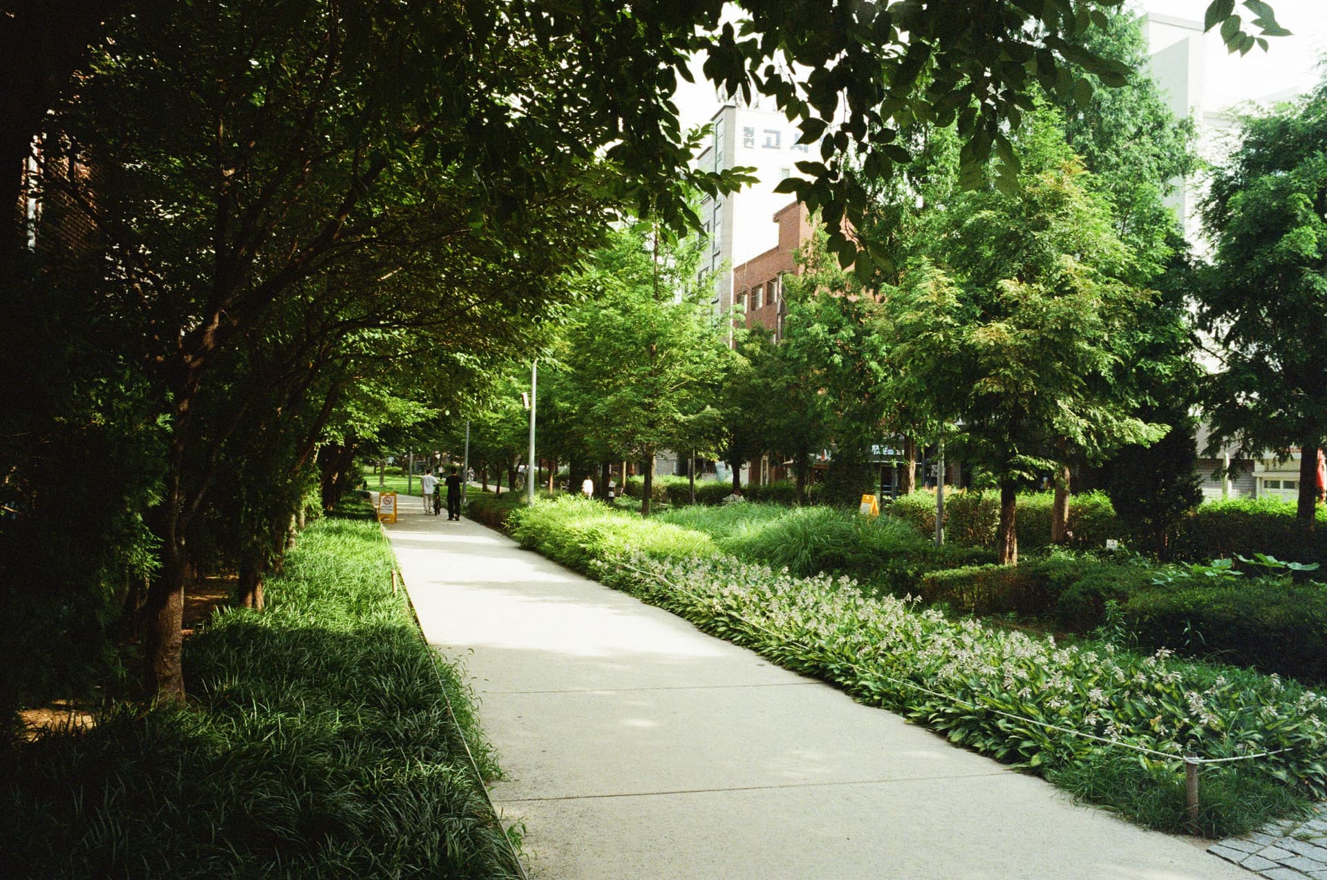 City Park