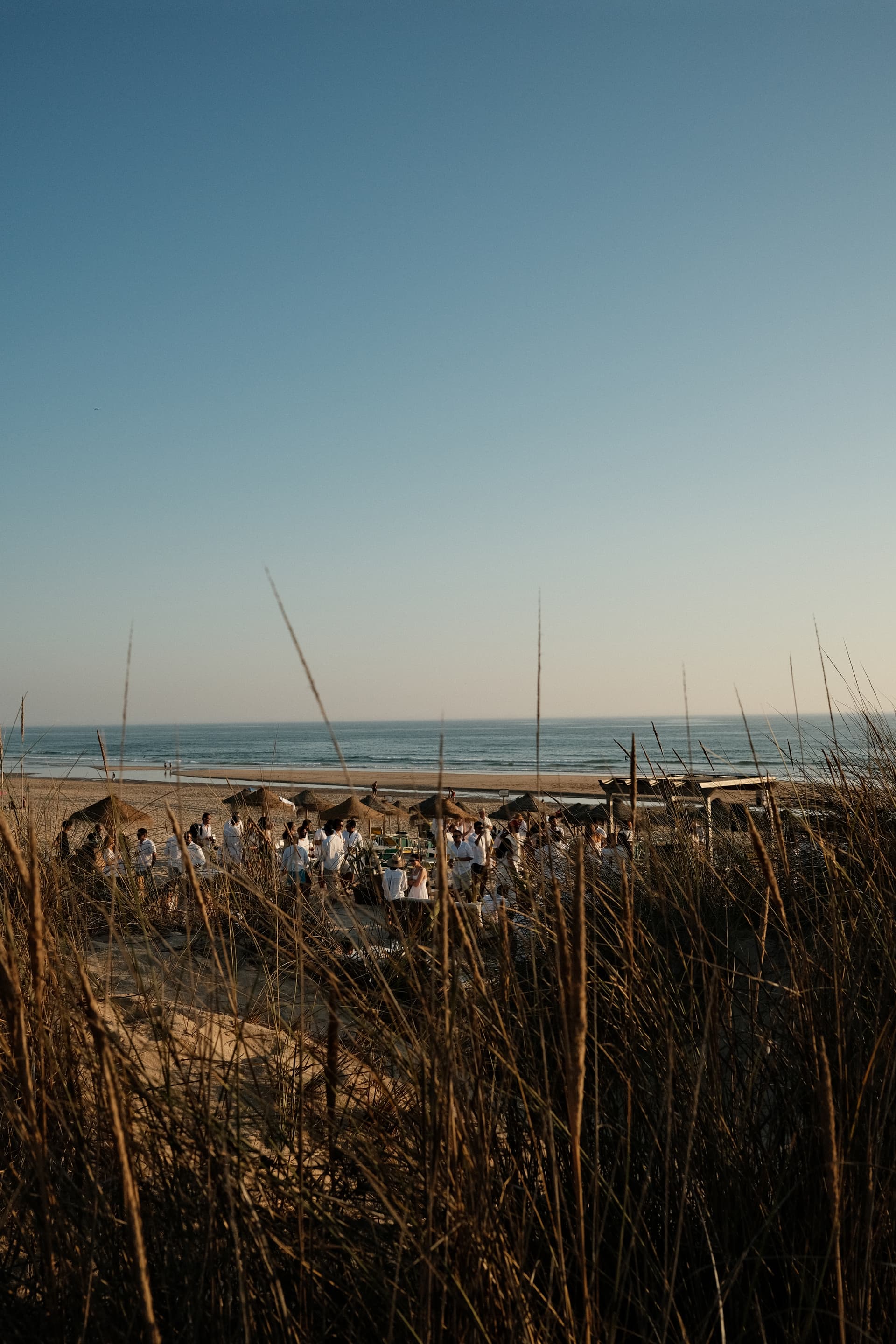 Beach Wedding