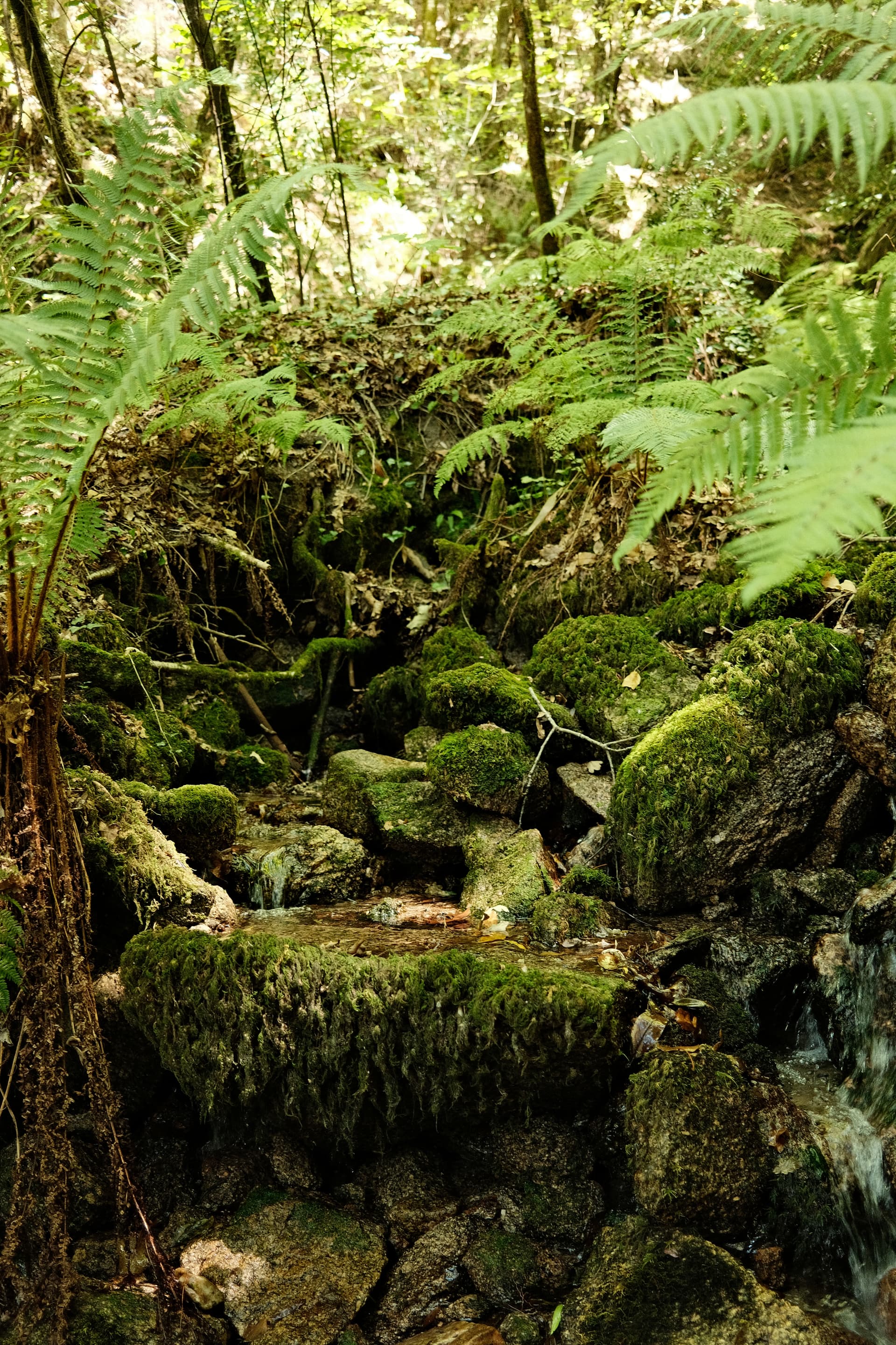 Portugal National Park