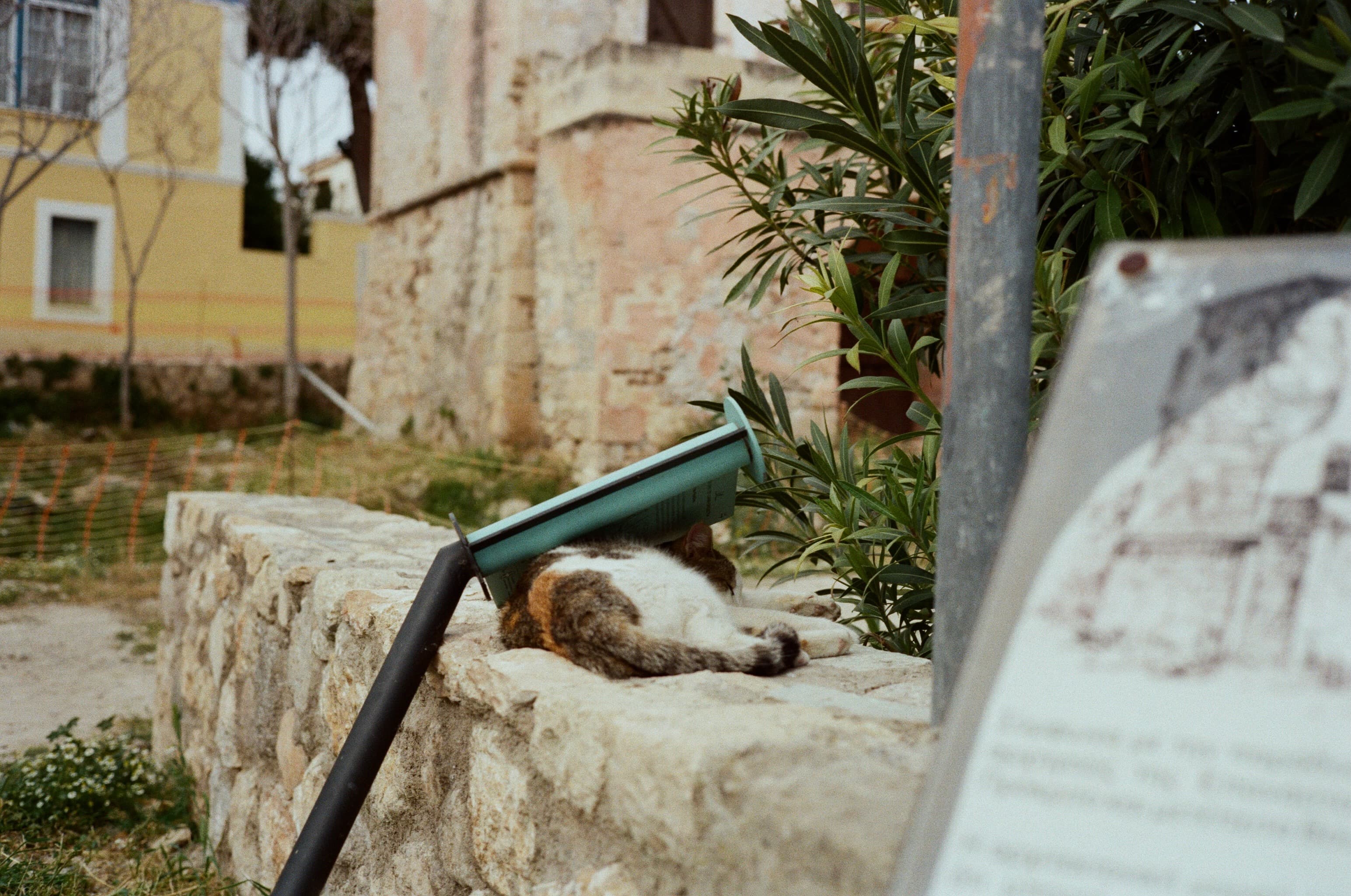 Gata under pole