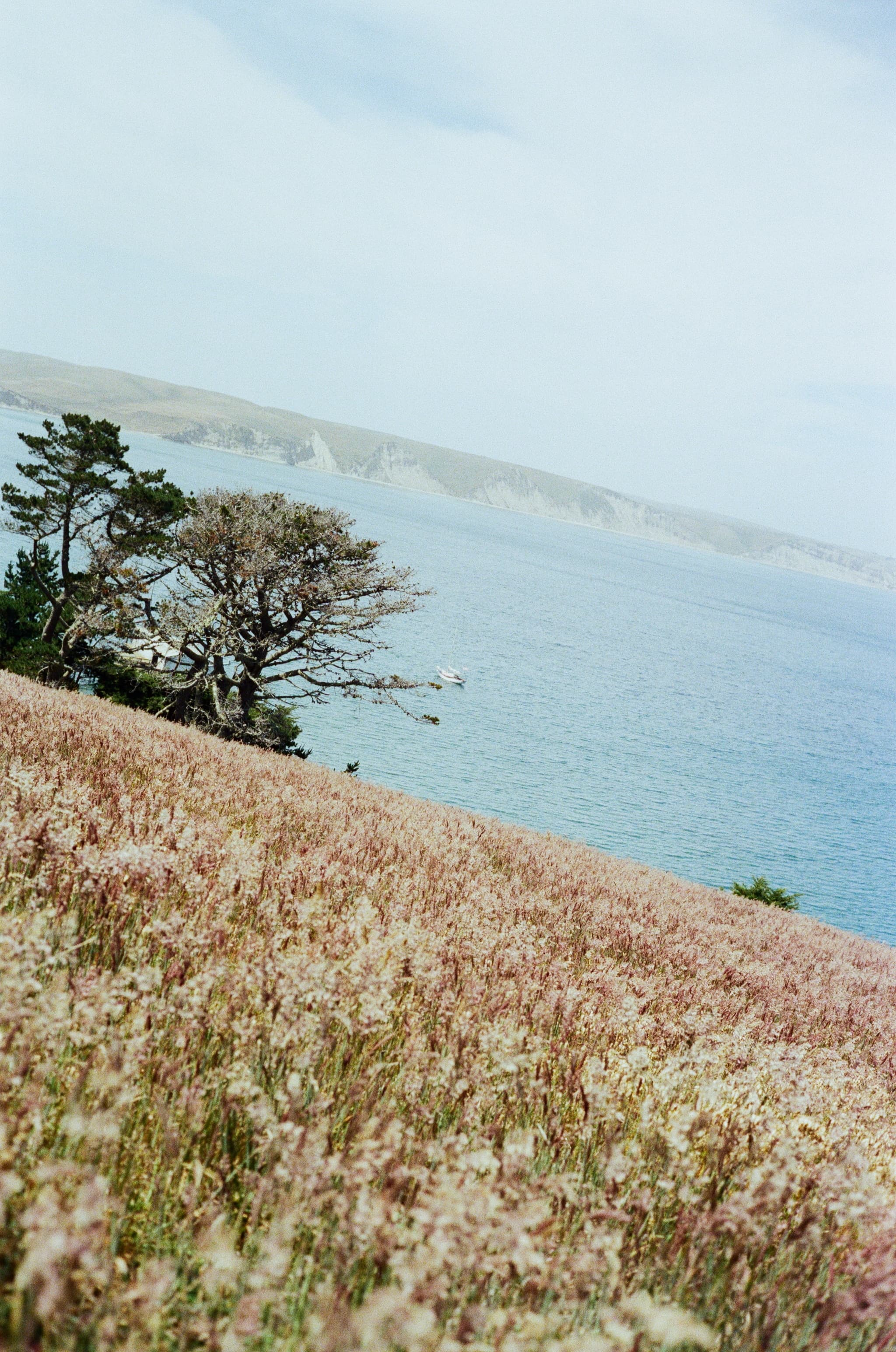 Pastel Colors